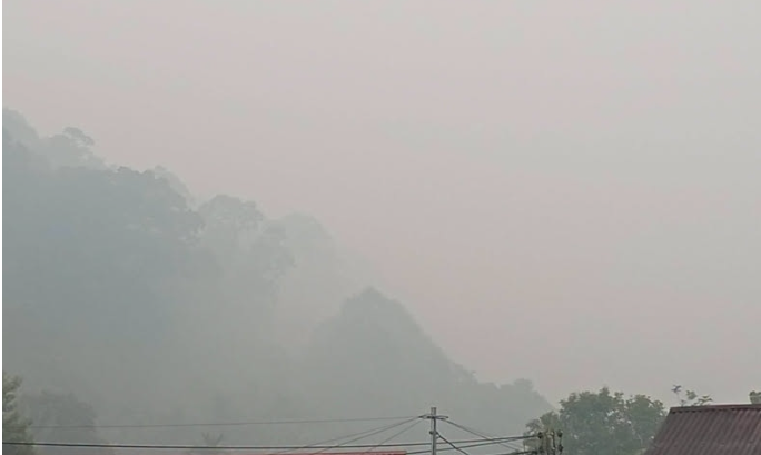 🚨 Haze Crisis