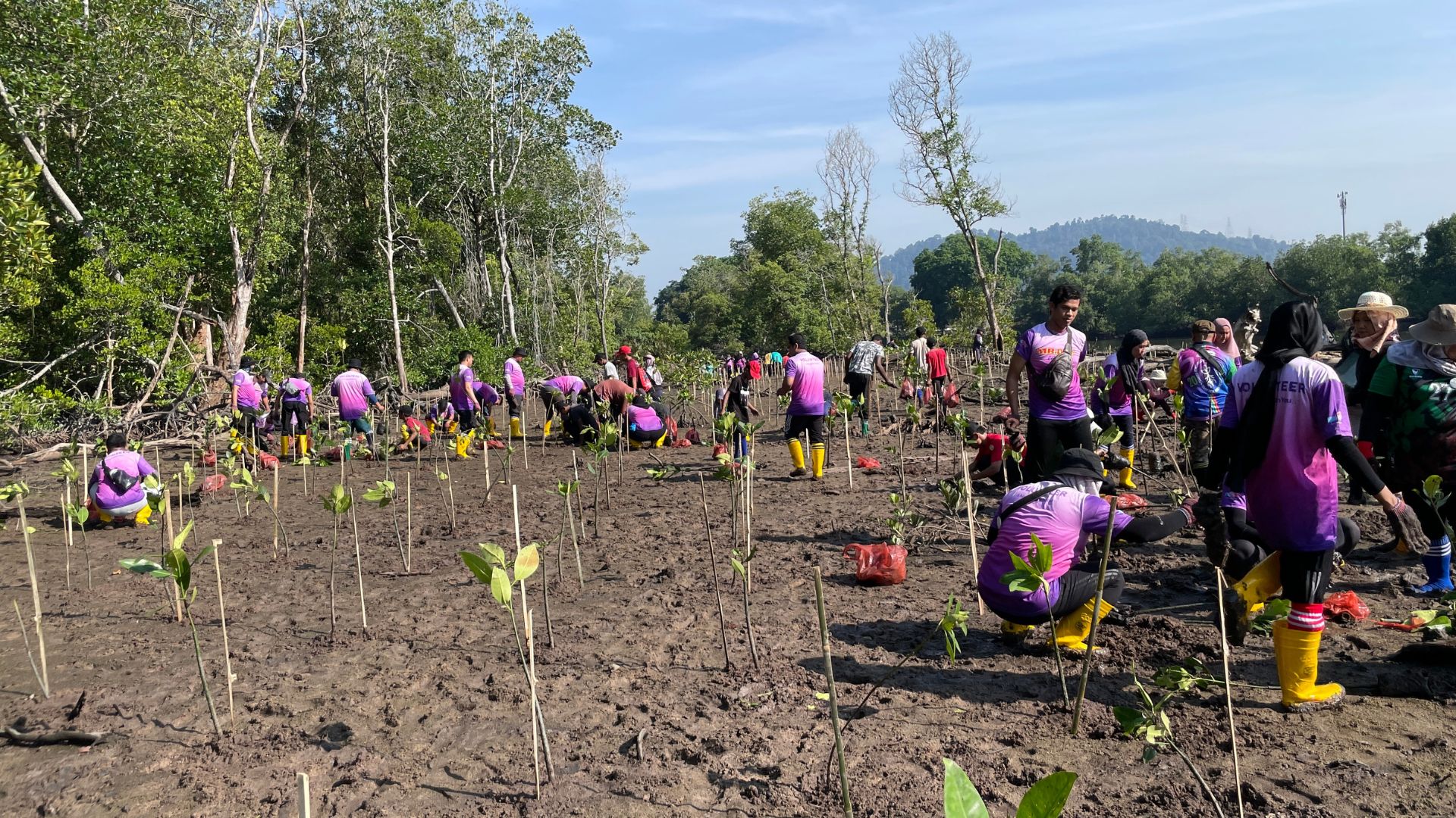 Image from: MR D.I.Y. pelihara alam sekitar sempena 'Hari Alam Sekitar Sedunia'