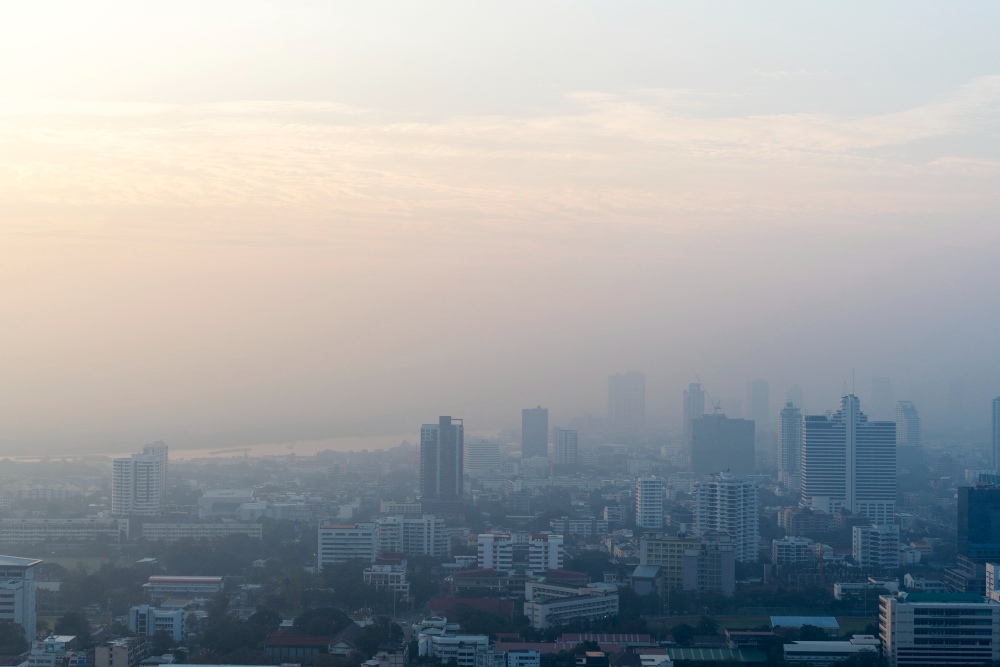 Image from: Your Guide to Staying Healthy During Hazy Days
