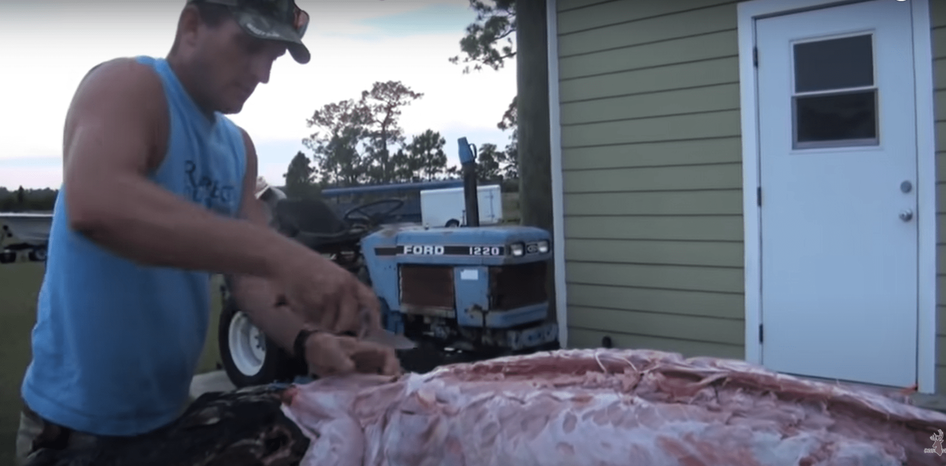 Image from: Man with BN shirt chainsaws crocodile