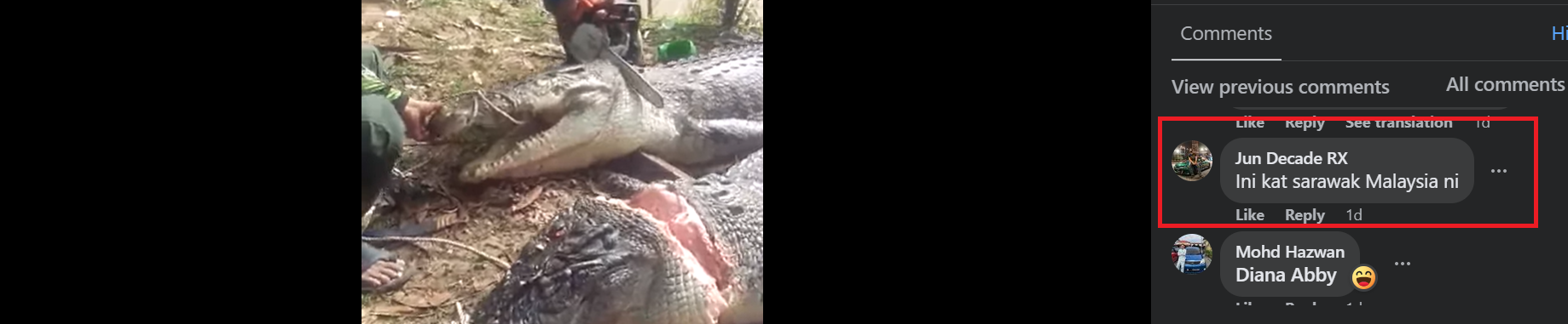 Image from: Man with BN shirt chainsaws crocodile
