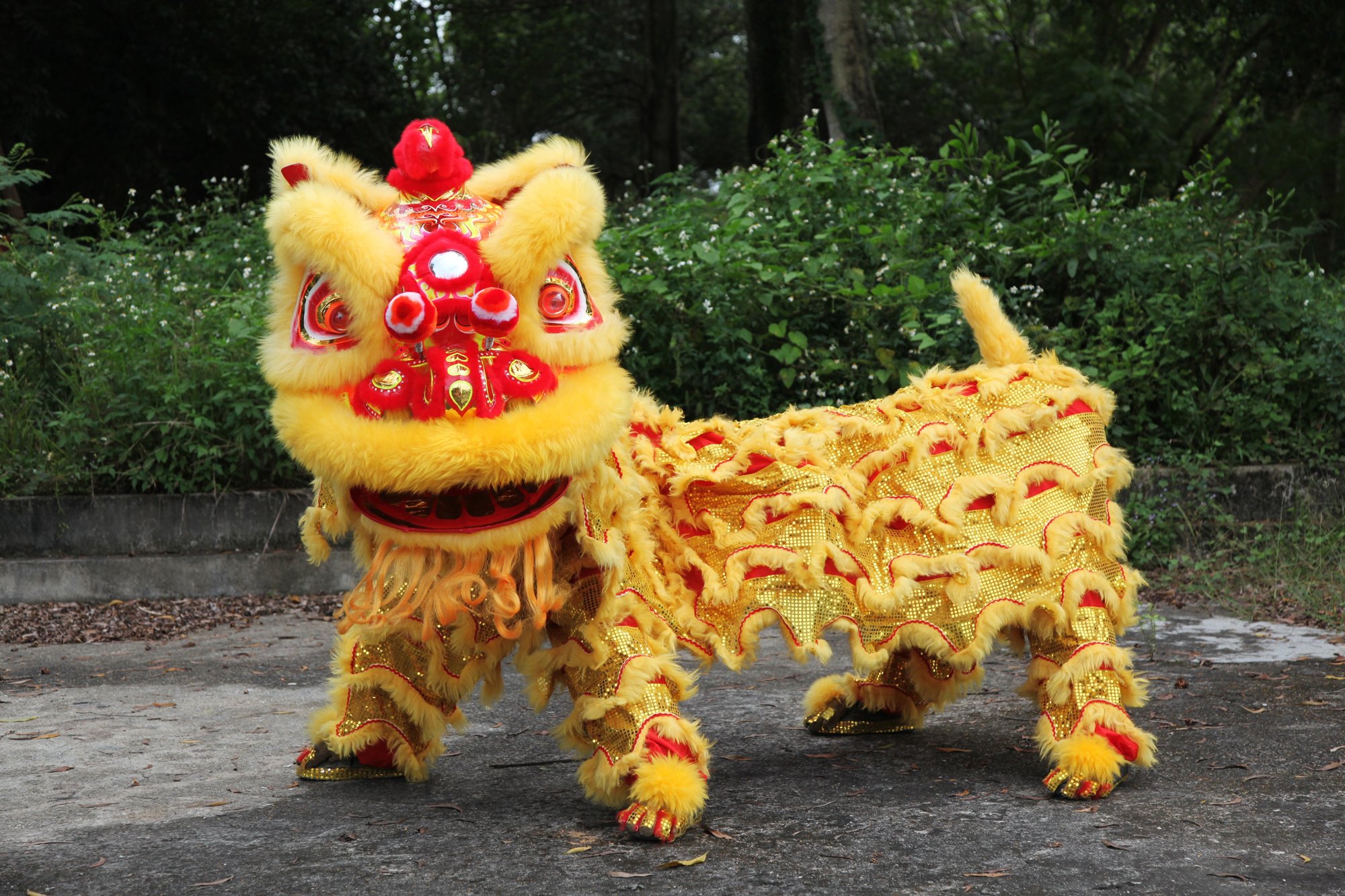 Image from: Simple Guide To Chinese Lion Dance #CNY2024