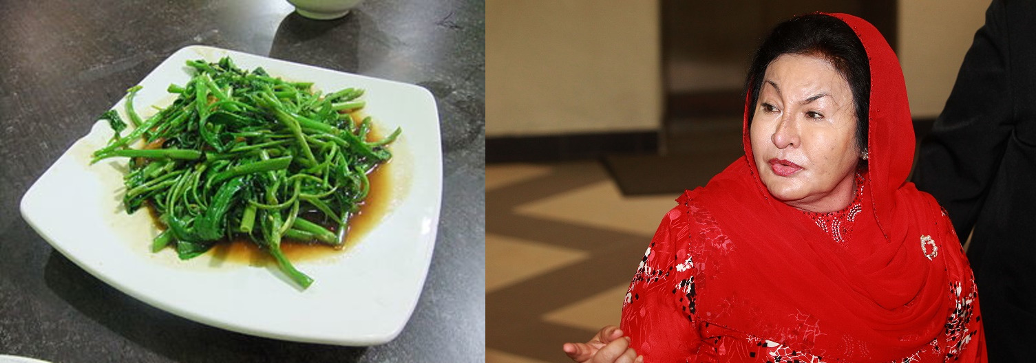 Image from: Secrets to having luscious black hair like Rosmah Mansor (regrow hair + prevent hair loss) #SihatCergas