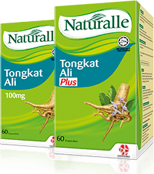 Image from: Exploring The Power Of Tongkat Ali: A Comprehensive Review Of Top Products In Malaysia