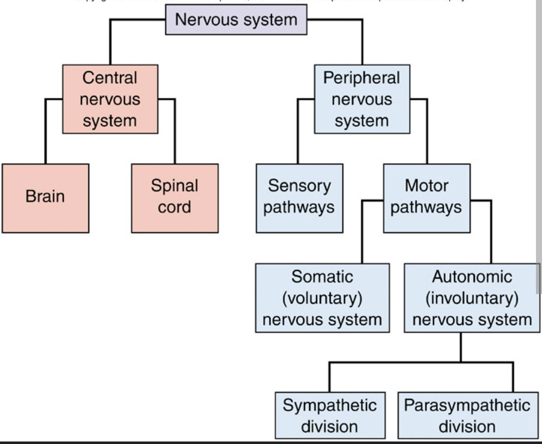 Image from: Handling stress: Part 1 - Here's how you can switch off your stress!