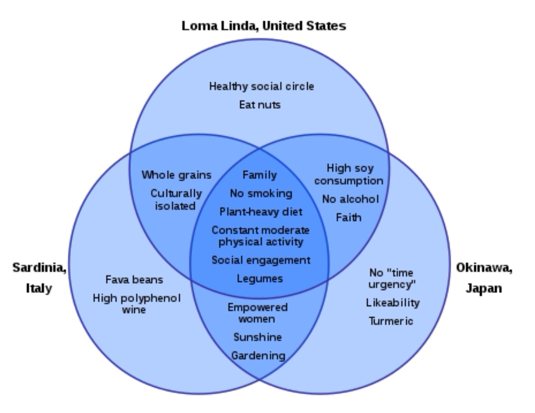 Image from: Lessons from the Living Labs on Longevity: Part 1 - Social interaction