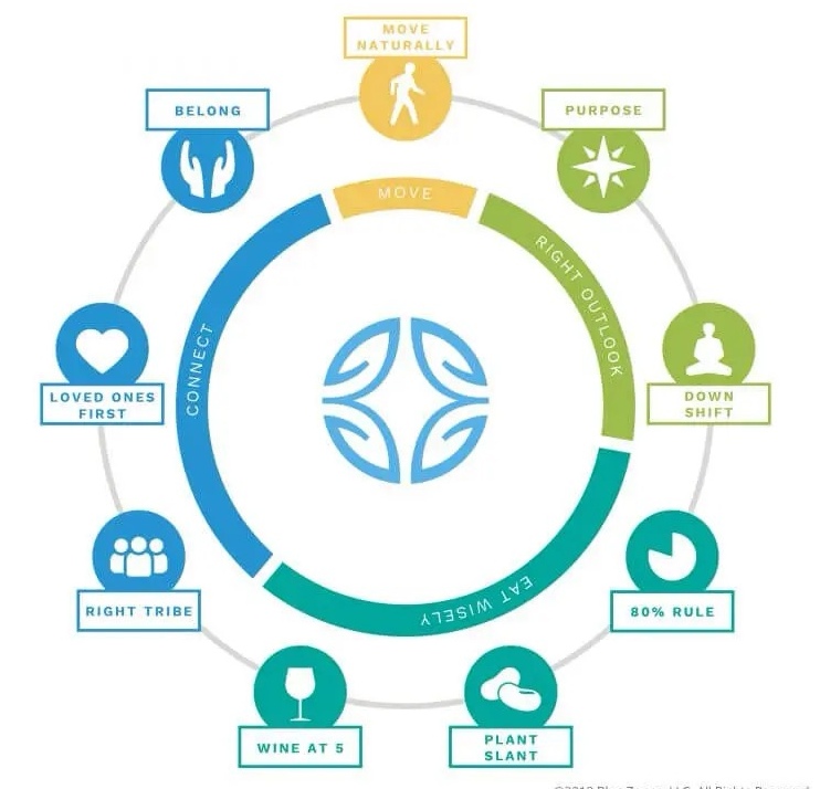 Image from: Lessons from the Living Labs on Longevity: Part 1 - Social interaction