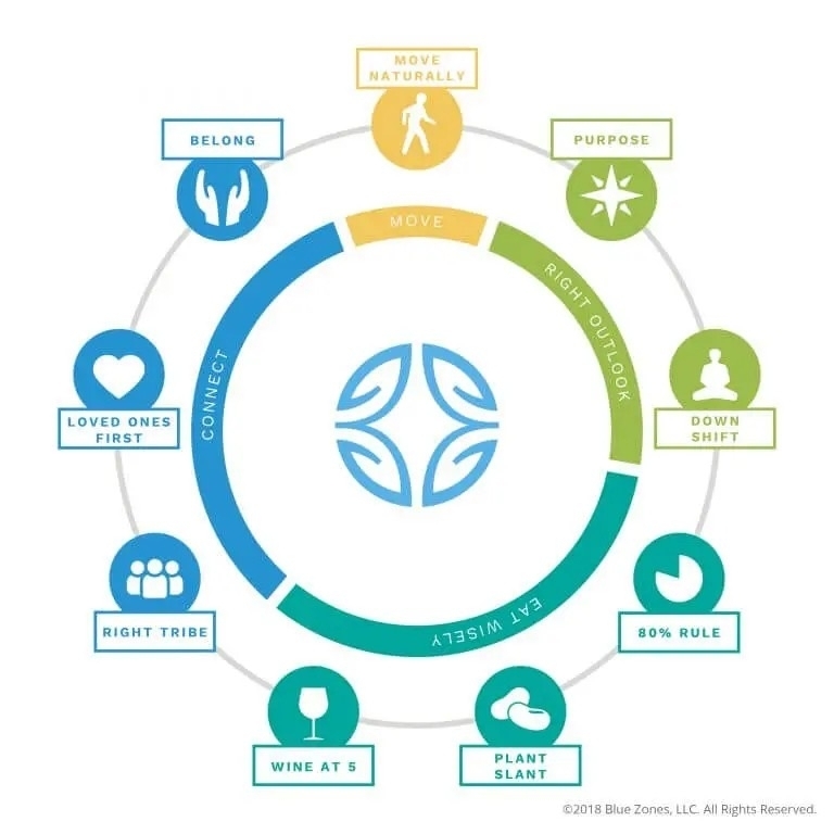 Image from: Lessons from the Living Labs on Longevity : Part 3 - Purpose
