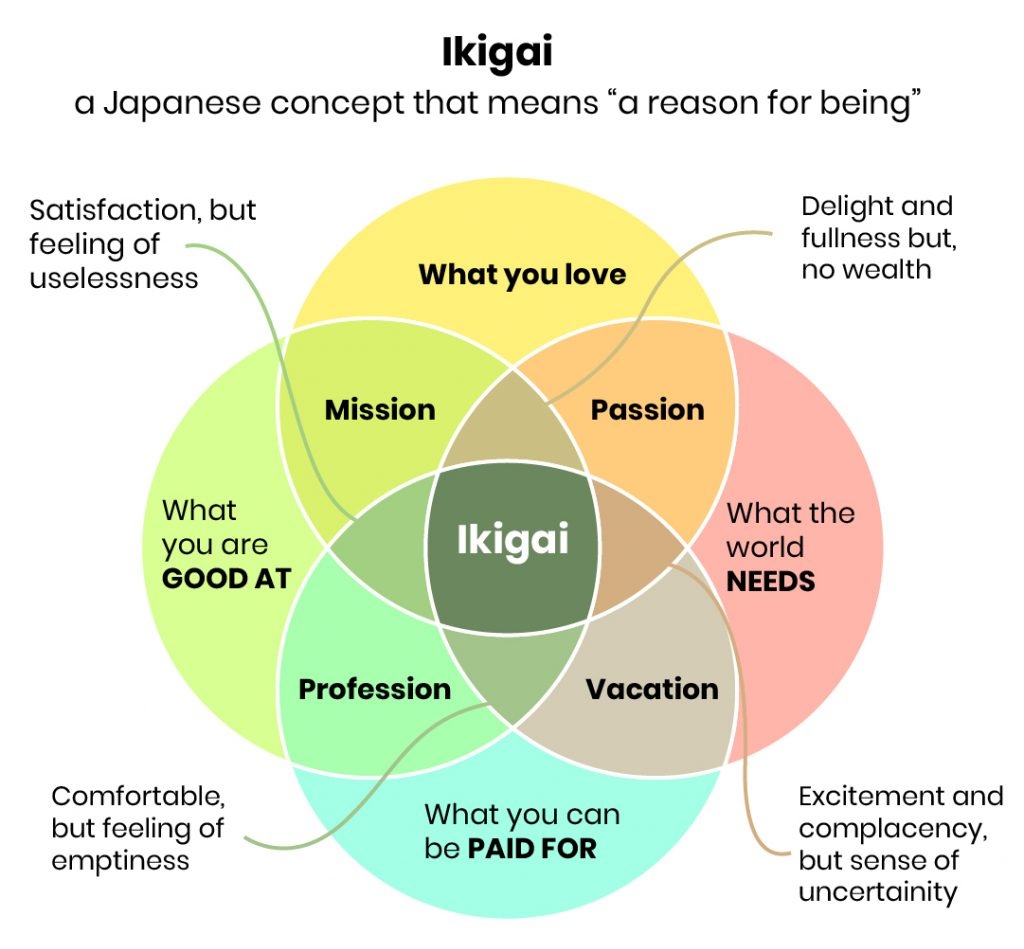 Image from: Lessons from the Living Labs on Longevity : Part 3 - Purpose