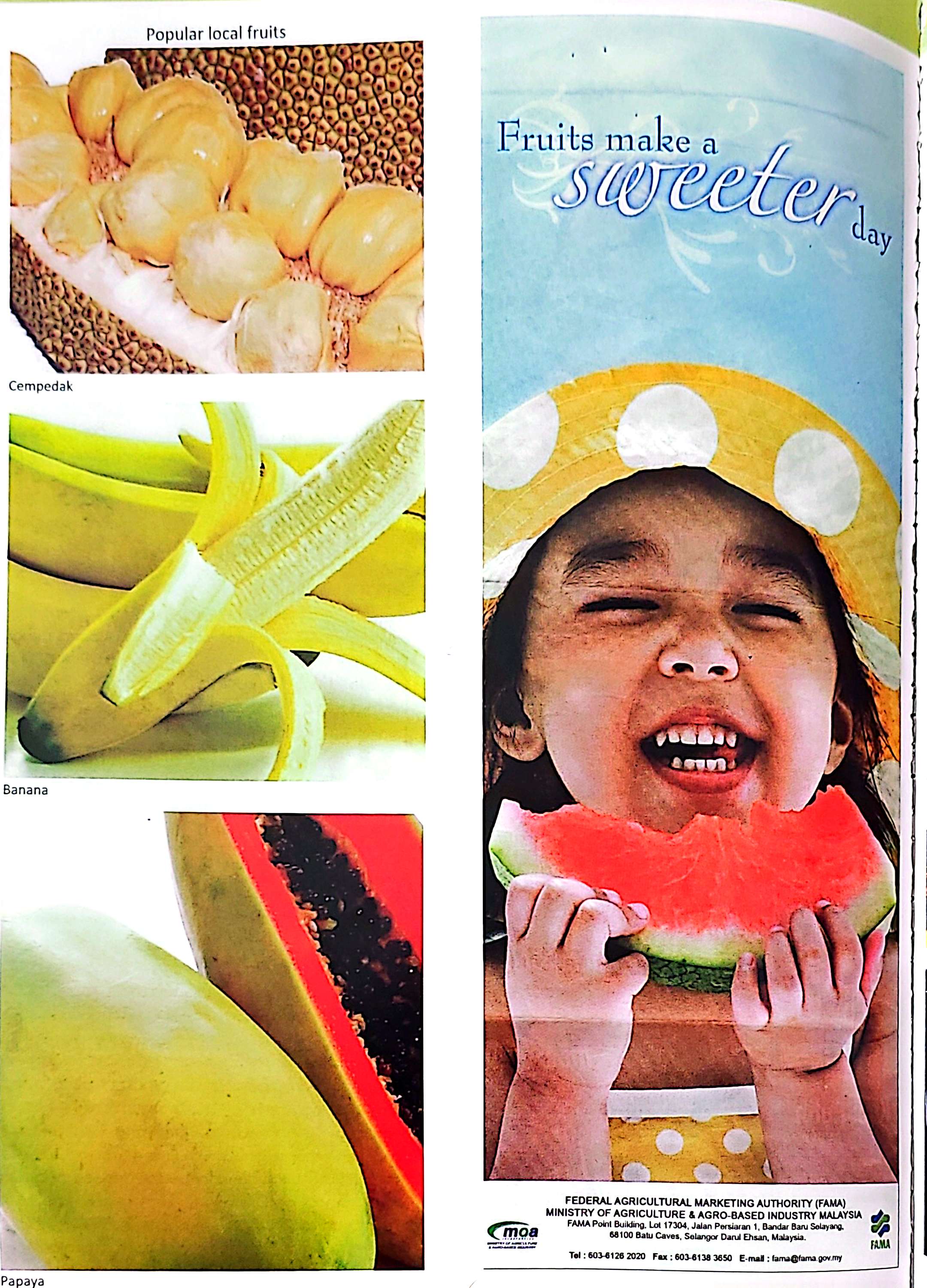 Image from: MAHA 100 Years Journey (Since 1923) - A Boost For The Local Fruit Industry