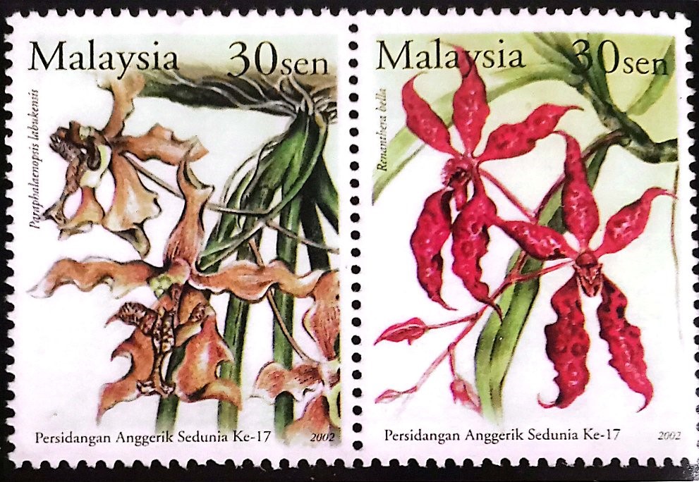 Image from: Flowers Galore at MAHA Exhibitions - MAHA 100 Years And Beyond