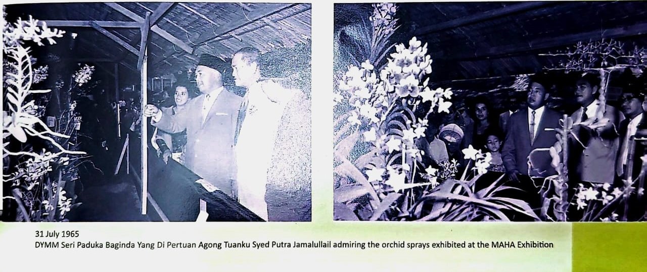 Image from: Flowers Galore at MAHA Exhibitions - MAHA 100 Years And Beyond