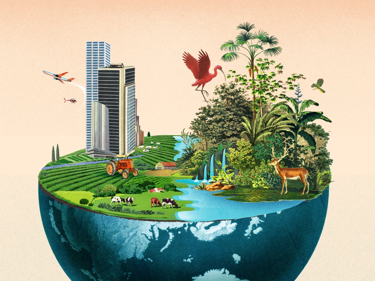 Image from: Cop16 biodiversity summit in Colombia "Turning the Tide" an outline essay of the Bahai international community
