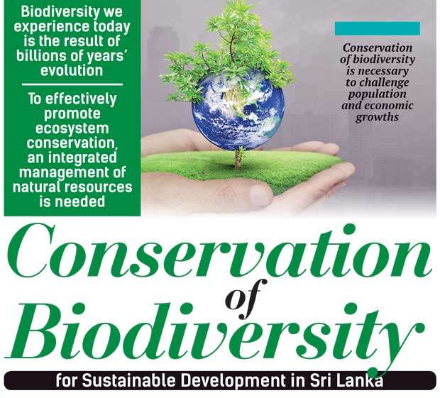 Image from: Cop16 biodiversity summit in Colombia "Turning the Tide" an outline essay of the Bahai international community