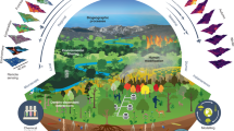 Image from: Cop16 biodiversity summit in Colombia "Turning the Tide" an outline essay of the Bahai international community