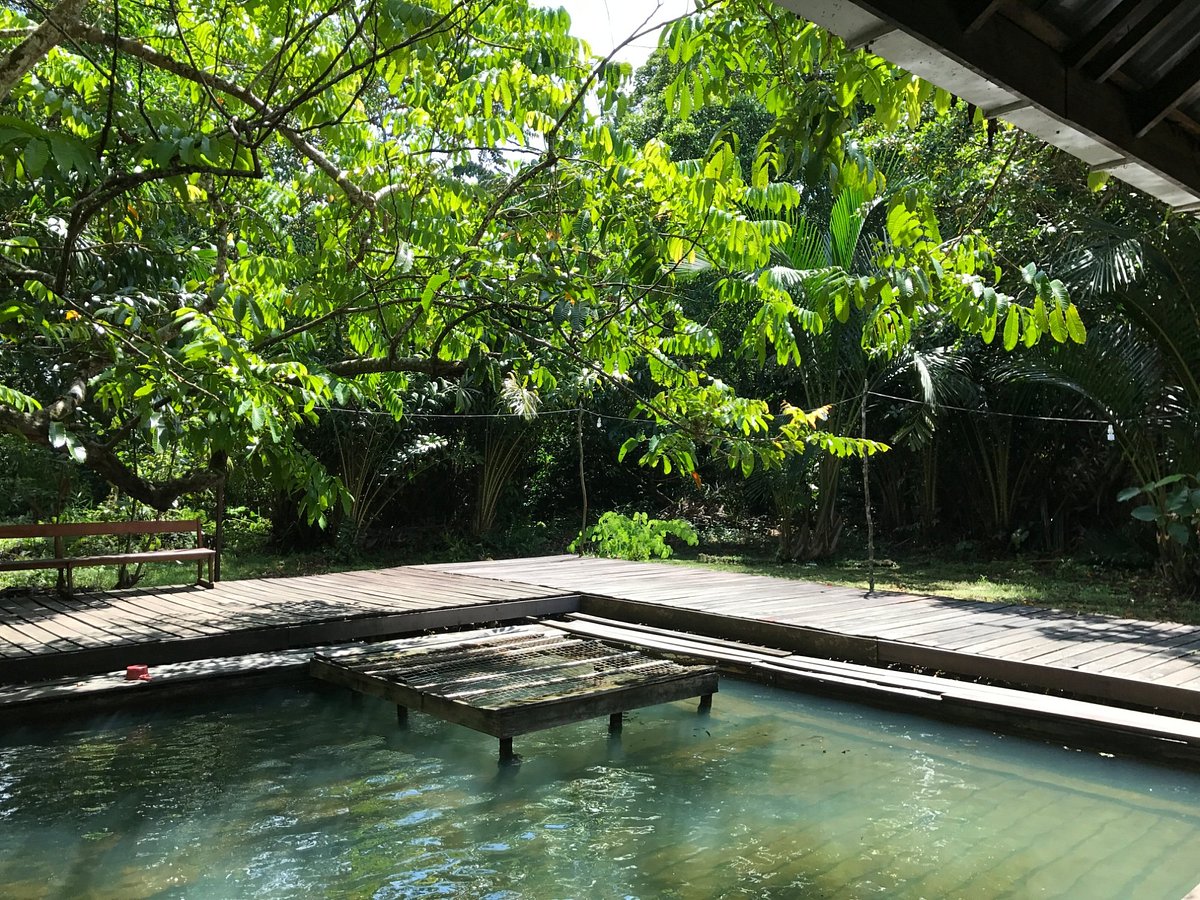 Image from: 7 beautiful budget-friendly hot springs in Malaysia (RM15 & below)