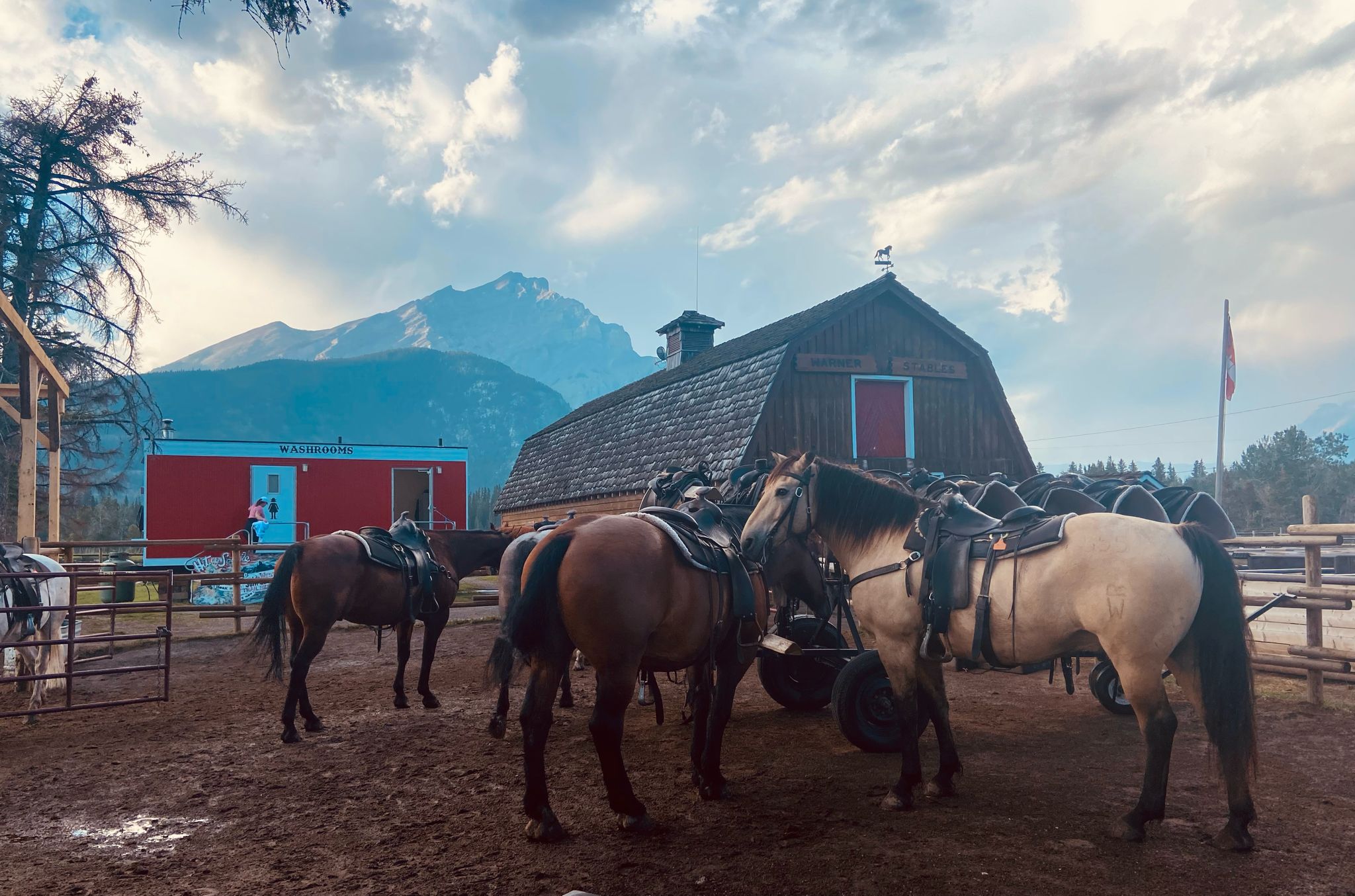 Image from: Unveiling the Majestic Canadian Rockies: A Journey through Banff National Park