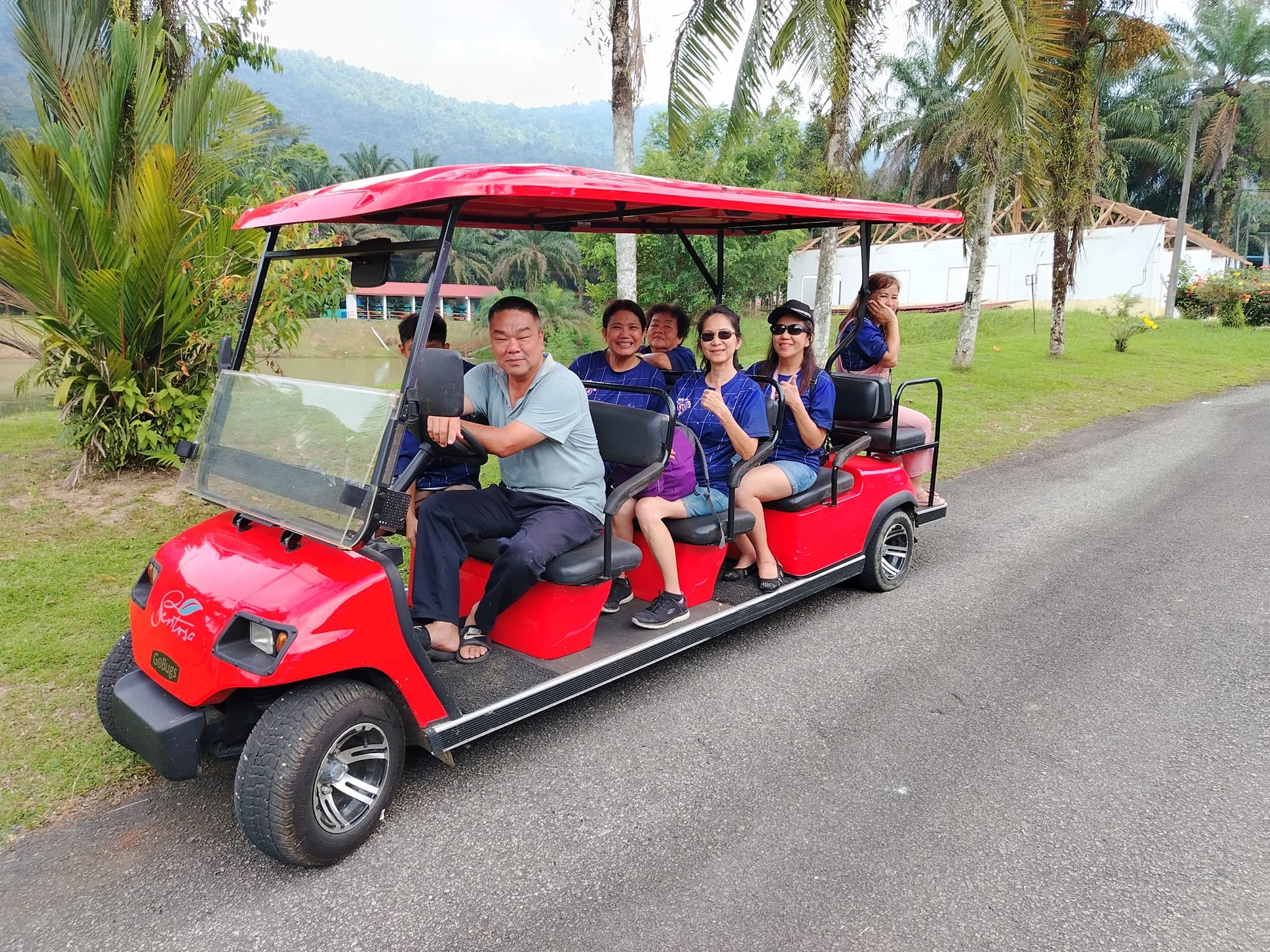 Image from: #DemiMalaysia: A Golden Dawn for Malaysian Tourism: The Stewardship of Tan Sri Tiong King Sing