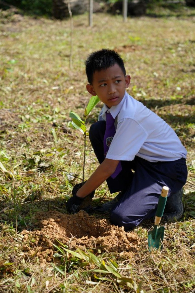 Image from: Menuju Kehijauan Lestari: Kejayaan Sawit Kinabalu Dalam Program Penghijauan Malaysia