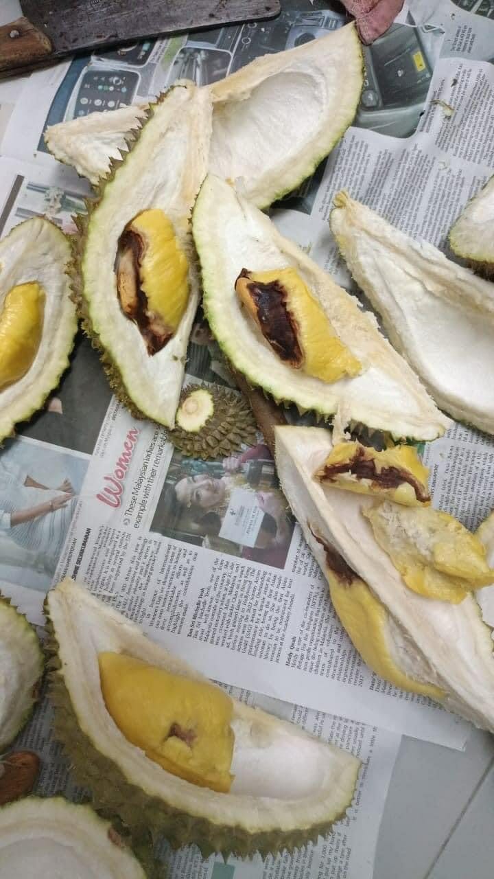 Image from: Malaysian man conned by popular local live-streamer. The dude pays RM500.00 for ten inedible Musang Kings!