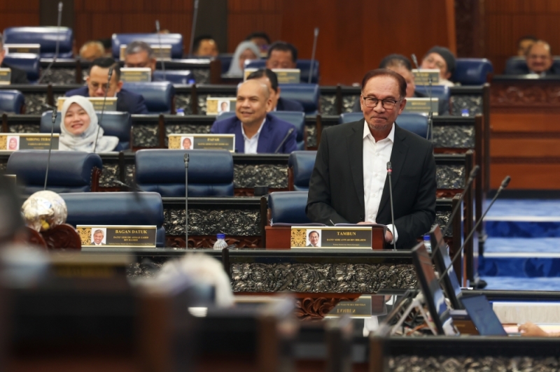 Image from: Opinion: What to make of a Parliament of apes, owls and vultures?