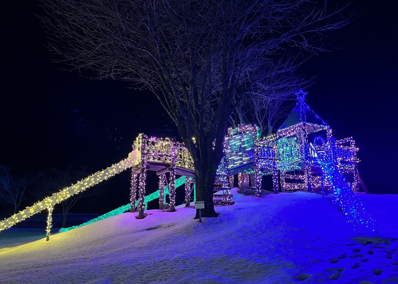 Image from: Iwate in Winter! - Japan's Hidden Gem, A Must Travel Destination in 2024