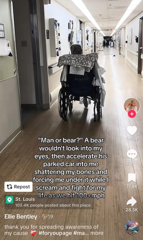 Image from: Is A Man Scarier Than A Bear? - The Underlying Truth Of ‘MAN VS BEAR’ Viral TIKTOK Debate