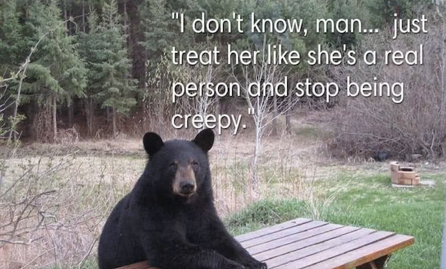Image from: Is A Man Scarier Than A Bear? - The Underlying Truth Of ‘MAN VS BEAR’ Viral TIKTOK Debate