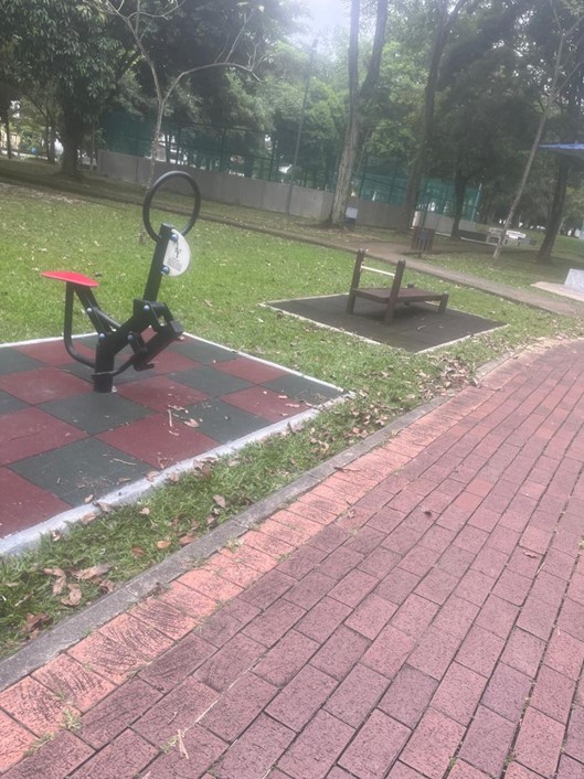 Image from: Malaysia in Yer Mirror: Park Life