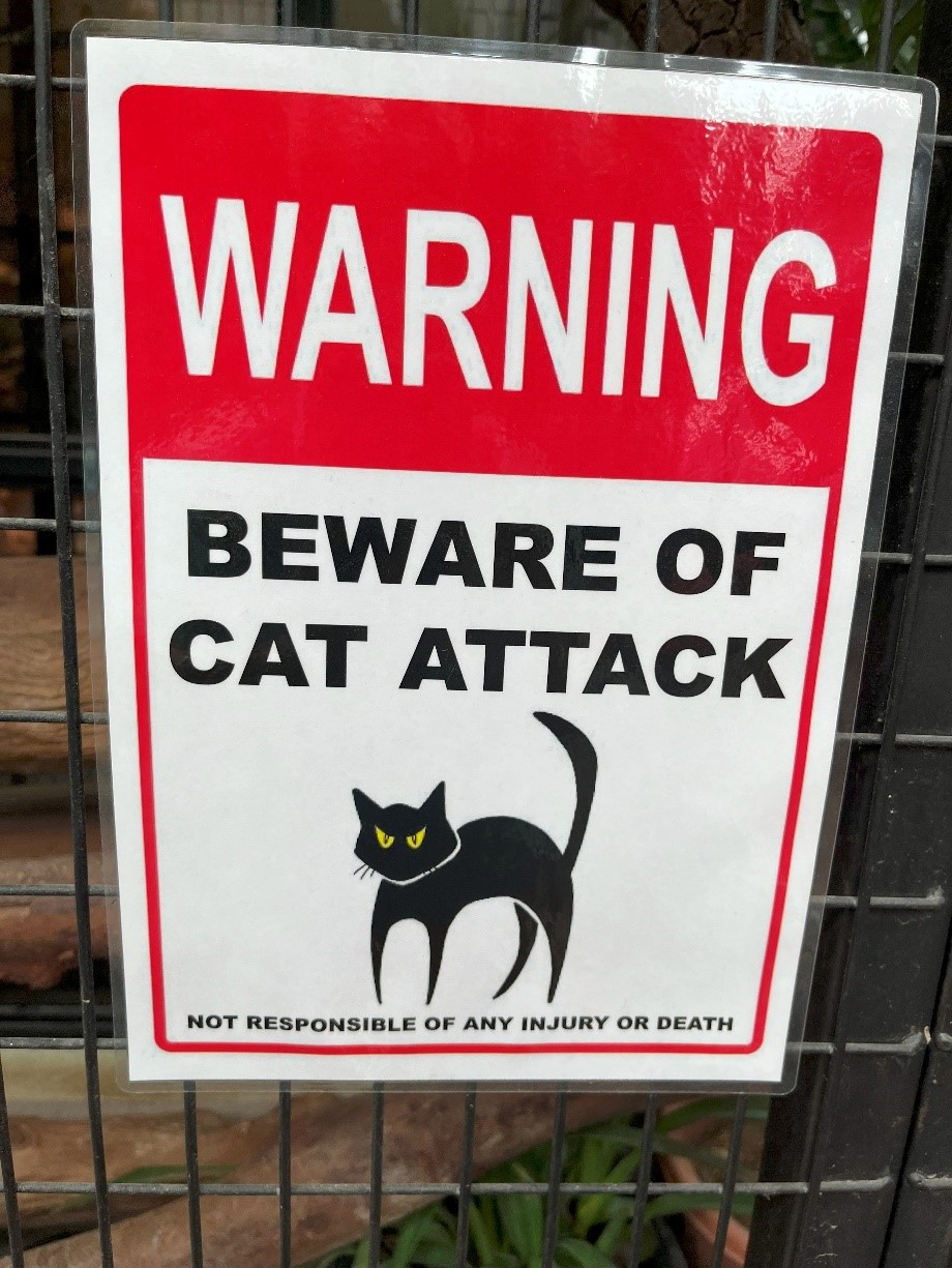 Image from: Kwailo Lumpur in Yer Mirror: Cats. CATS!