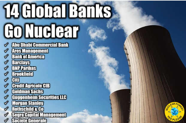Image from: An Epoch-Making  Decision by the World Bank to finance Nuclear Power will accelerate the momentum to Reach Net-Zero Pt 3