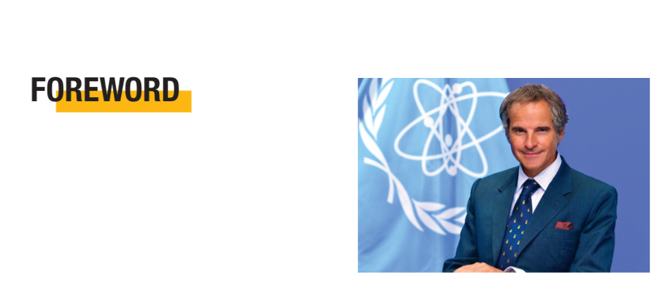 Image from: An Epoch-Making  Decision by the World Bank to finance Nuclear Power will accelerate the momentum to Reach Net-Zero Pt 5