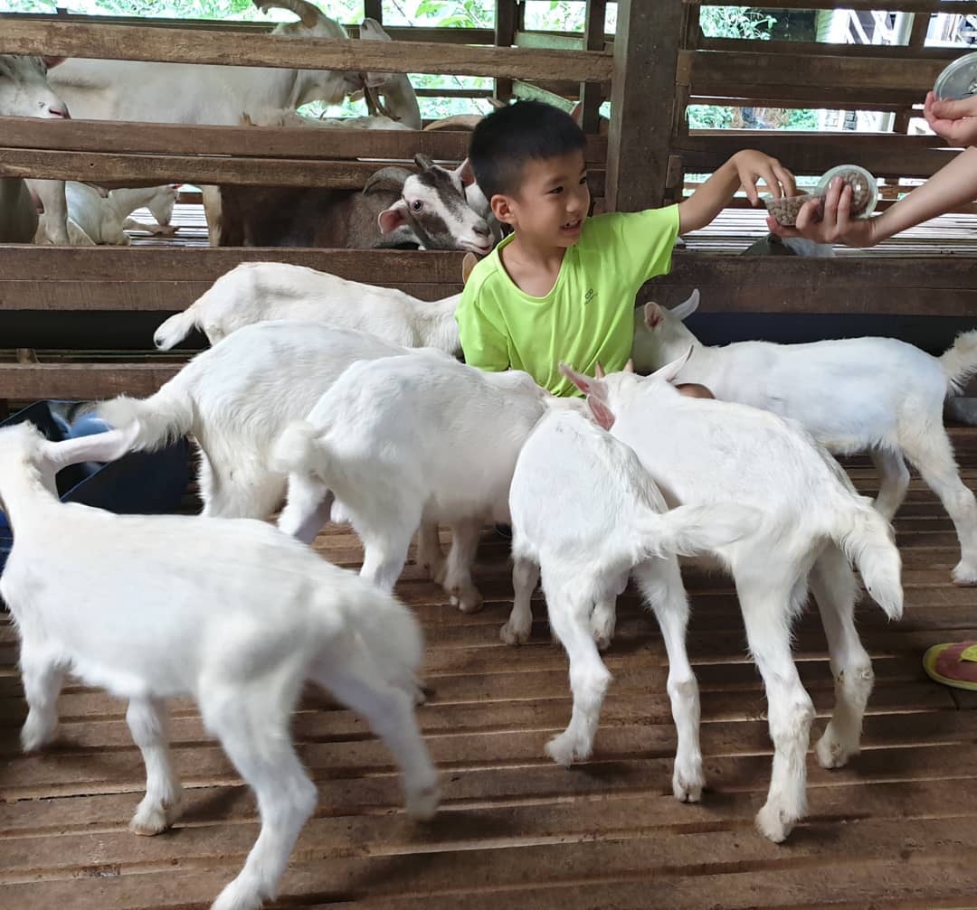 Image from: Explore Penang for FREE! 5 spots to bring your family! #JomTravel