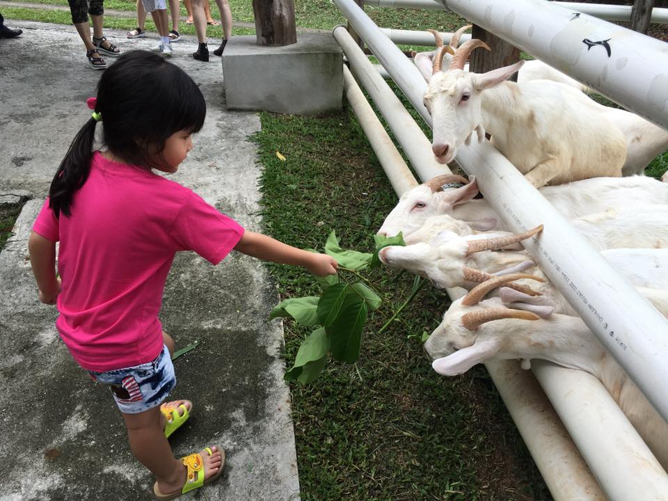 Image from: Explore Penang for FREE! 5 spots to bring your family! #JomTravel