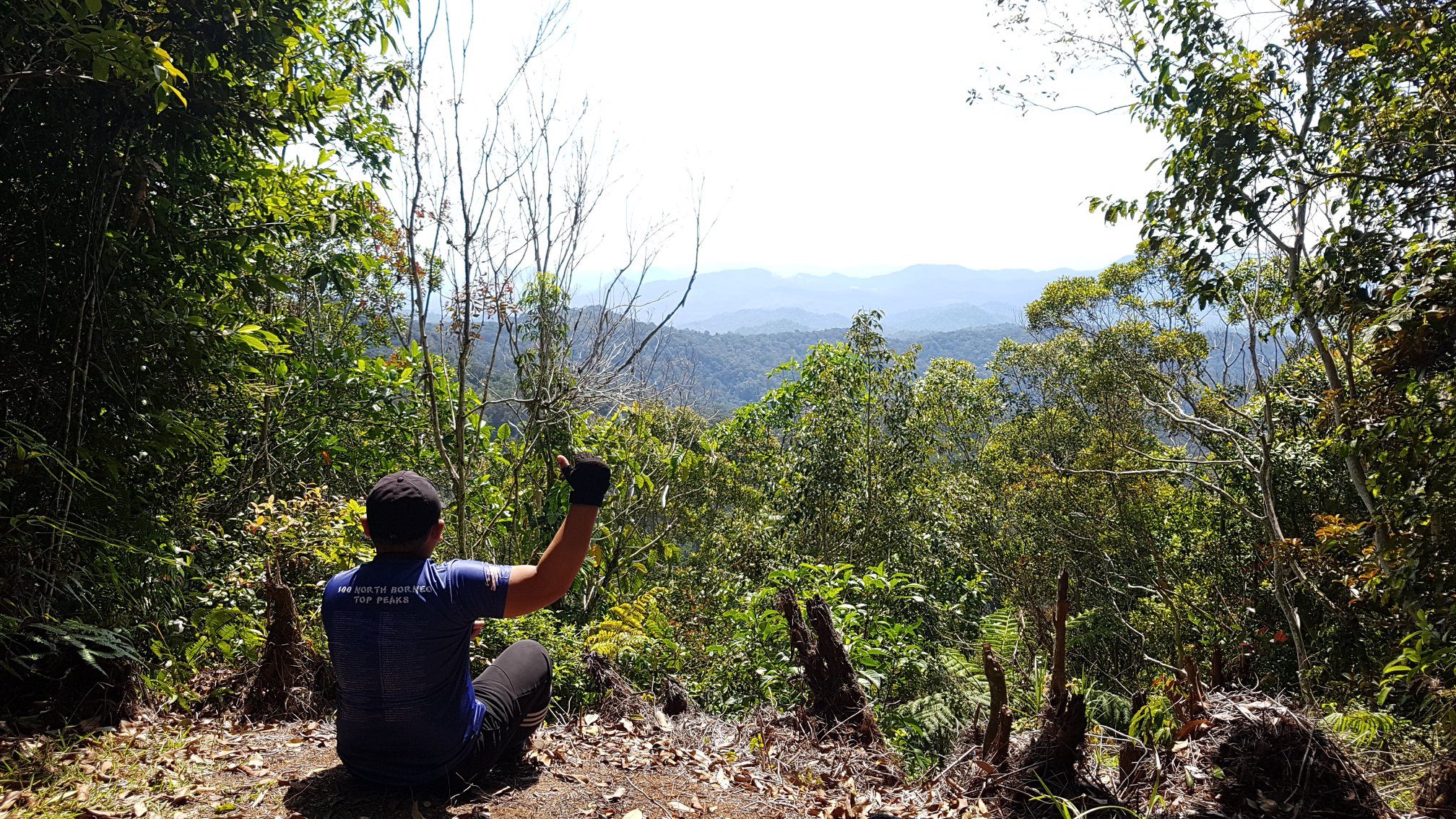 Image from: Tawau: Your Next Destination In Sabah For An Extraordinary Wildlife Experience & Nature's Wonders With Tawau Hills Park