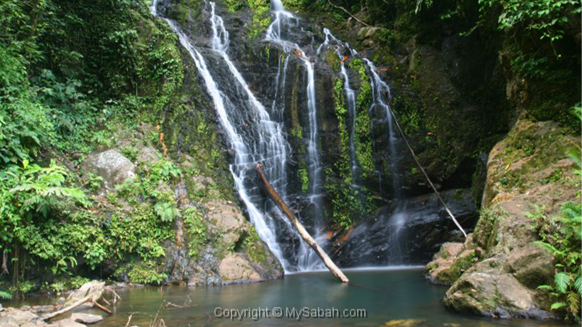 Image from: Tawau: Your Next Destination In Sabah For An Extraordinary Wildlife Experience & Nature's Wonders With Tawau Hills Park