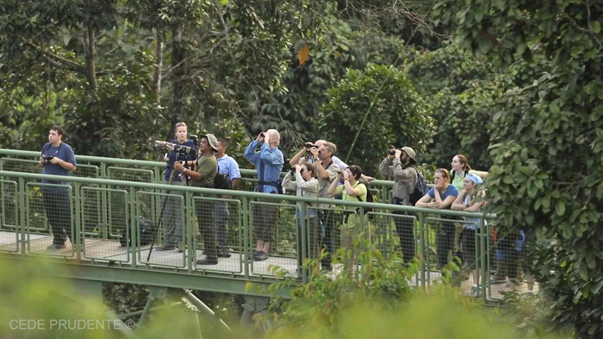 Image from: Tawau: Your Next Destination In Sabah For An Extraordinary Wildlife Experience & Nature's Wonders With Tawau Hills Park