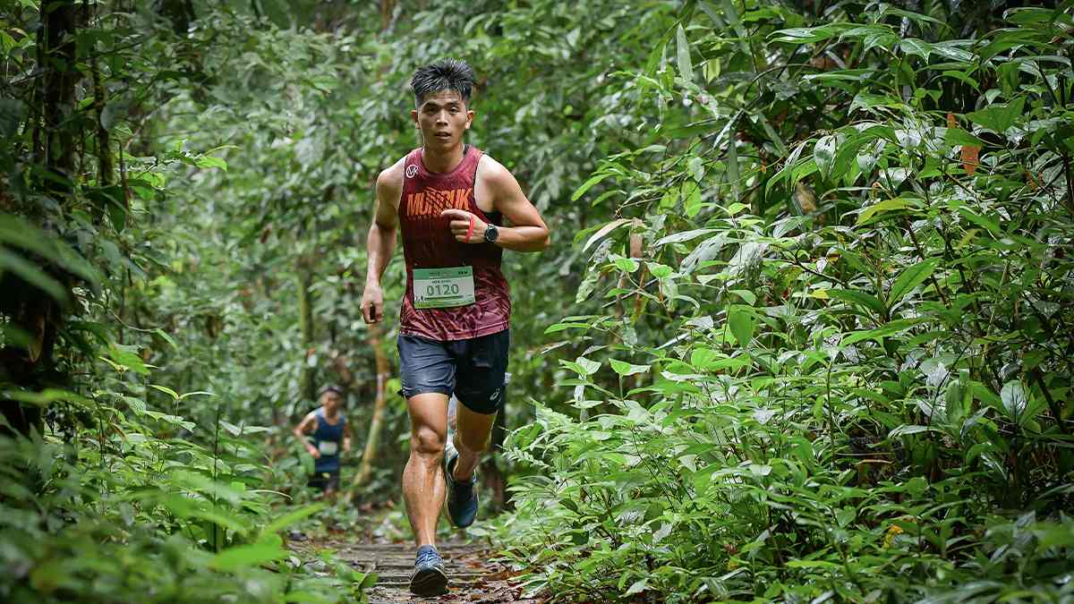 Image from: Tawau: Your Next Destination In Sabah For An Extraordinary Wildlife Experience & Nature's Wonders With Tawau Hills Park