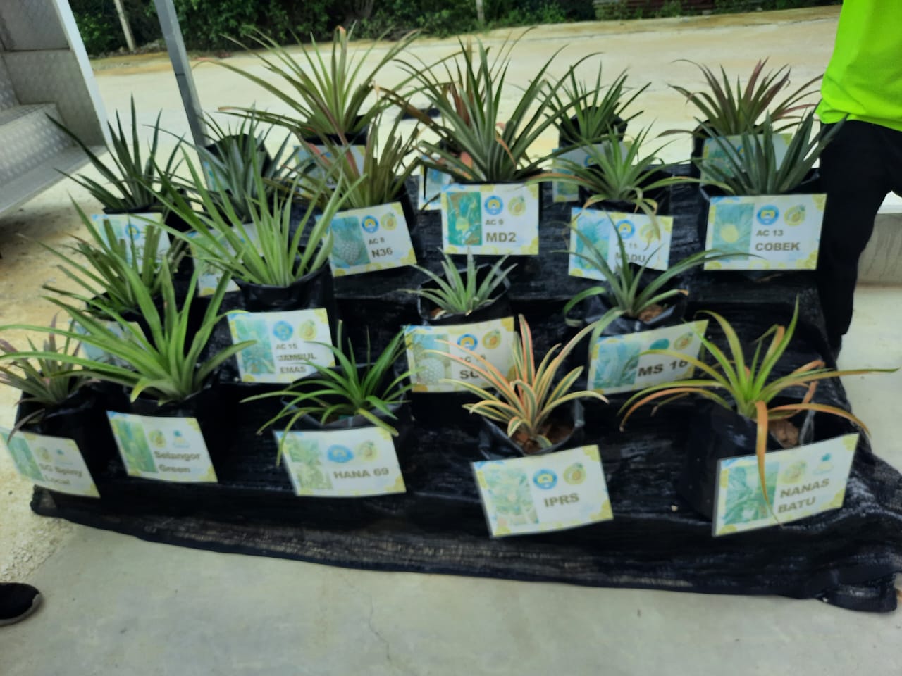Image from: Next Journey: Sustainable Revolution