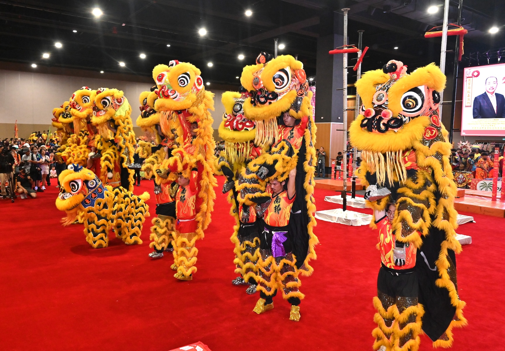 Image from: 龙麒狮大团拜展中华文化魅力 #2025蛇年 