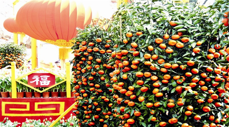 Image from: #CNY2025: Do's and don'ts for an auspiciously smooth and prosperous year!