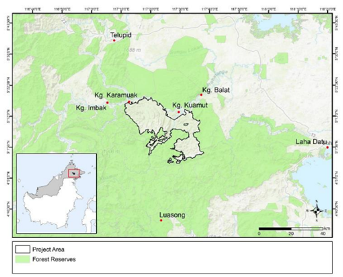Image from: Hutan Kuamut Sabah: Selamatkan Biodiversiti, Serap 800K Tan Karbon/Tahun #Greenwav
