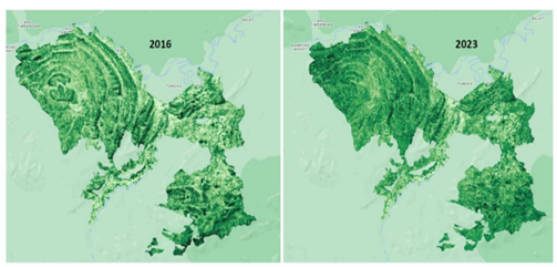 Image from: Hutan Kuamut Sabah: Selamatkan Biodiversiti, Serap 800K Tan Karbon/Tahun #Greenwav