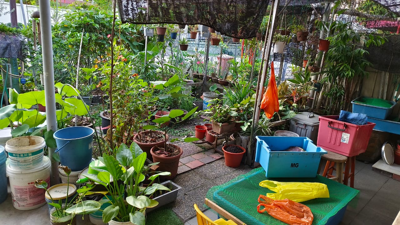 Image from: Rainwater Harvesting for Small Gardens in Terrace Homes: Beauty, Health, and Self-Reliance