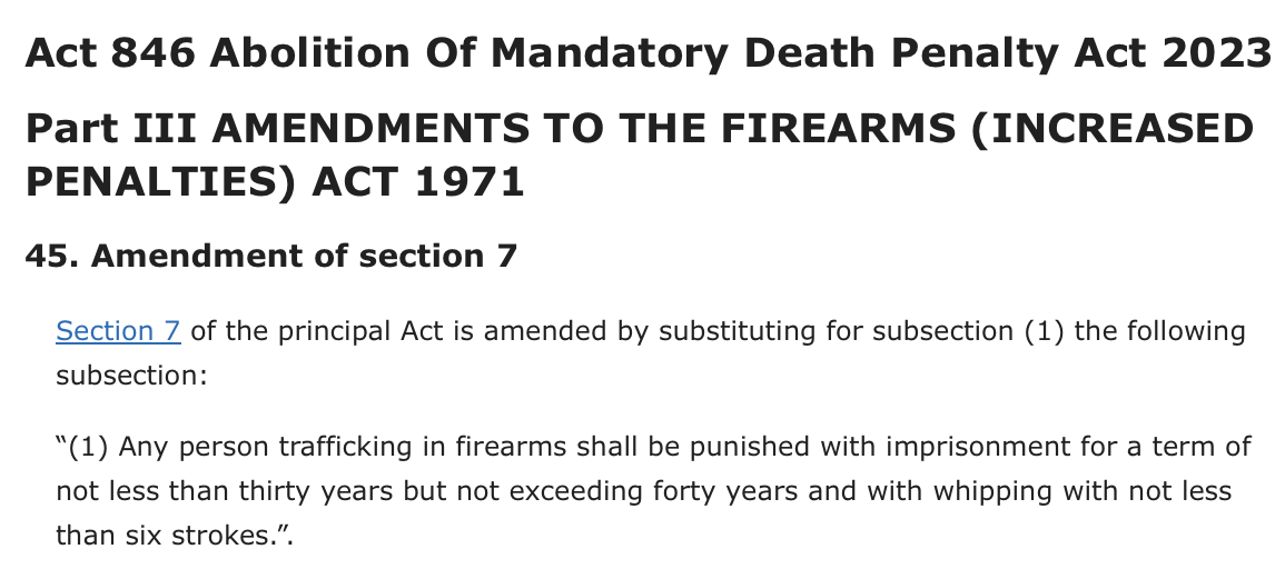 Image from: Here's why the Israeli national arrested in KL with 6 guns won’t face the death penalty for firearms trafficking