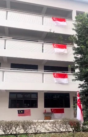 Image from: Public display of country flags beside Jalur Gemilang is illegal & punishable with up to 6-month jail in #MalaysiaKita