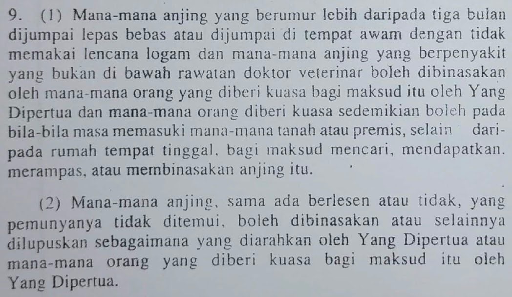 Image from: As outrage spurs over Besut council's killing of 'Kopi', can local councils legally use firearms to cull stray dogs? 