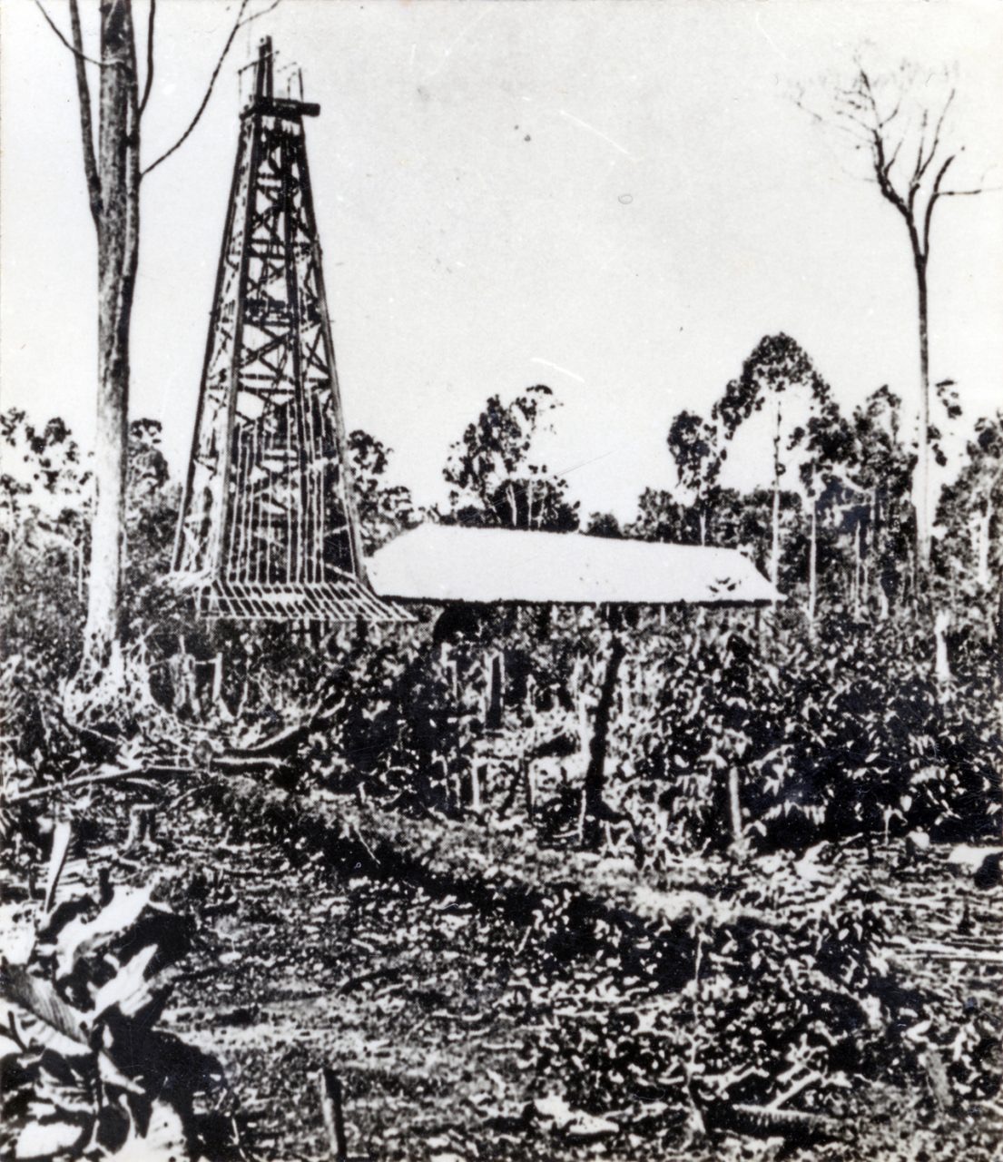 Image from: Petronas vs Petros: A timeline of the 62-year-long legal battle for oil and gas rights in Sarawak