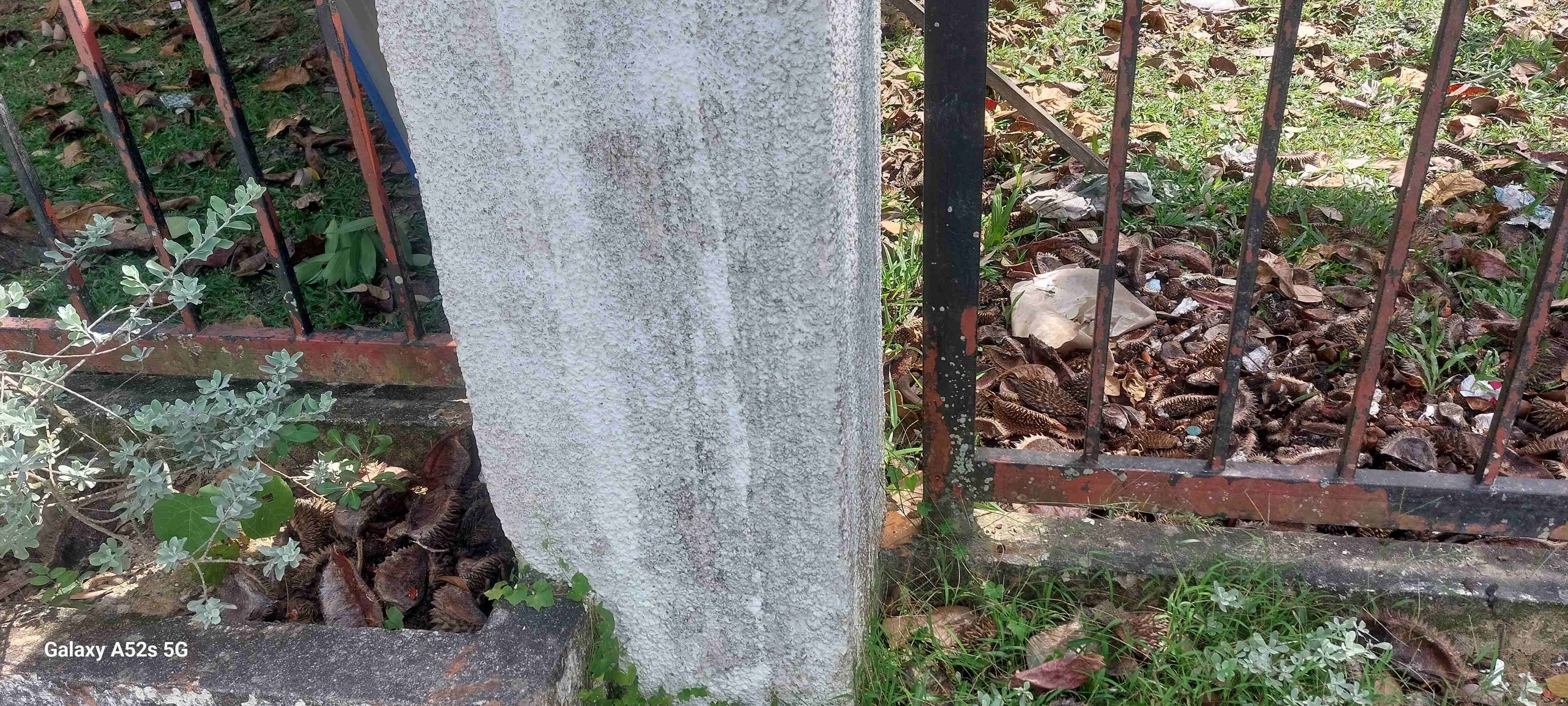 Image from: Are these litter?