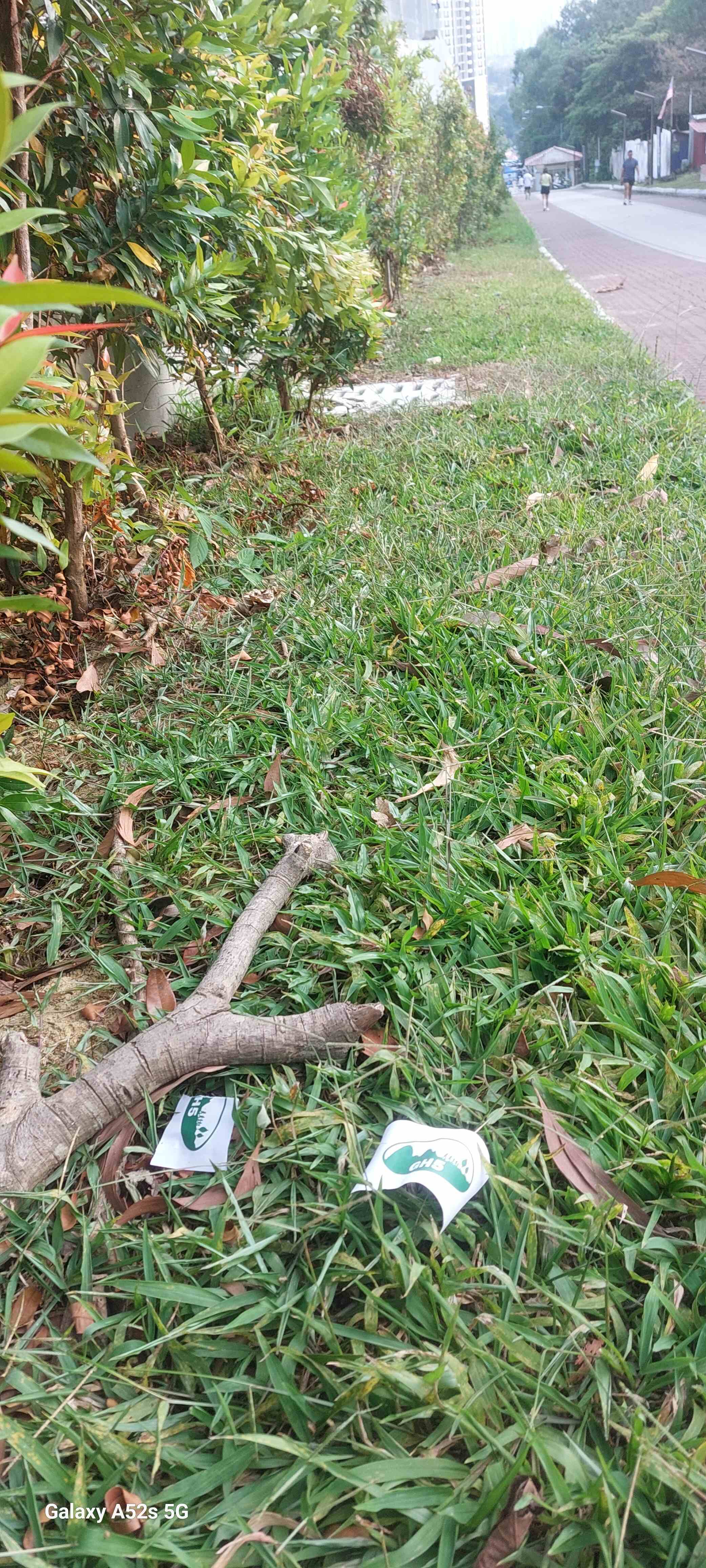 Image from: Are these litter?